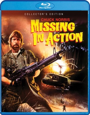 Missing In Action B071HGJKWL Book Cover