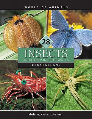 Insects and Other Invertebrates 0717258947 Book Cover