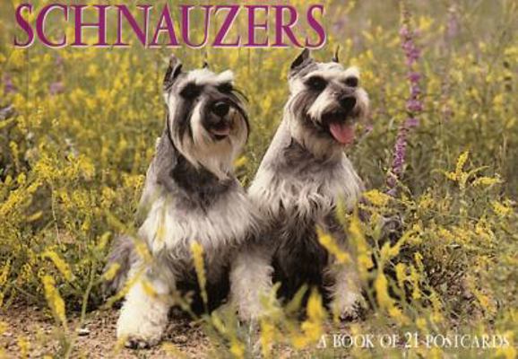 Schnauzers (For the Love of Schnauzers Postcard... 1563139170 Book Cover