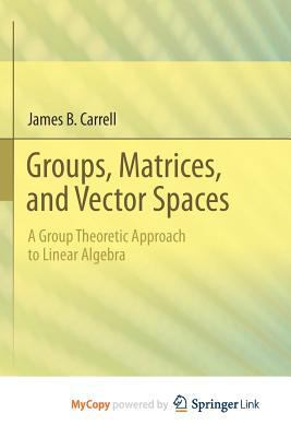 Groups, Matrices, and Vector Spaces: A Group Th... 0387571035 Book Cover