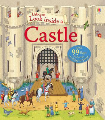 Castle 1409507491 Book Cover