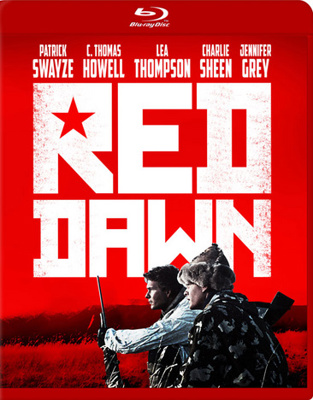 Red Dawn            Book Cover