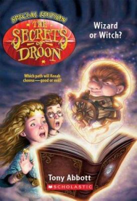Wizard or Witch 0439560497 Book Cover