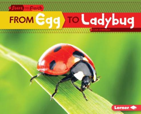 From Egg to Ladybug 1512409103 Book Cover