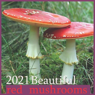 2021: Beautiful mushrooms red :2021 Wall & Office Calendar, 12 Month Calendar