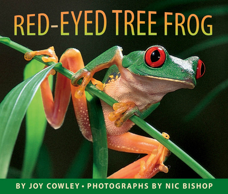 Red-Eyed Tree Frog 0590871757 Book Cover