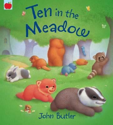Ten in the Meadow 1843629968 Book Cover