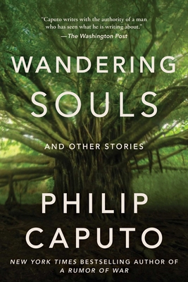 Wandering Souls: And Other Stories 1648211585 Book Cover