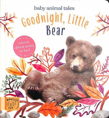Goodnight, Little Bear 191352034X Book Cover