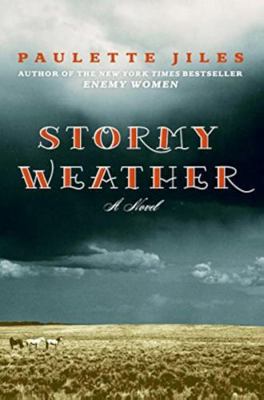 Stormy Weather: A Novel 0060537329 Book Cover