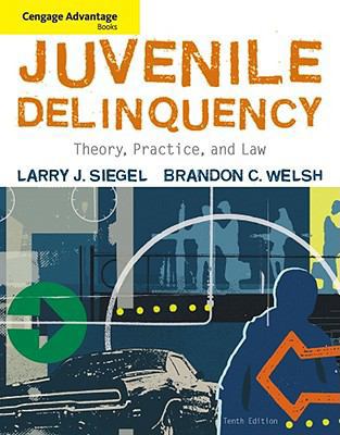 Juvenile Delinquency: Theory, Practice, and Law 0495507741 Book Cover