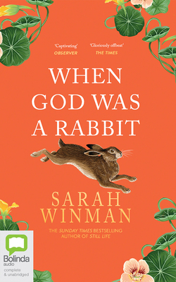 When God Was a Rabbit 1038653568 Book Cover