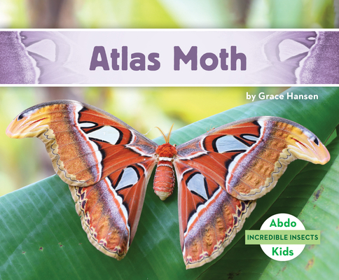 Atlas Moth 1098207351 Book Cover