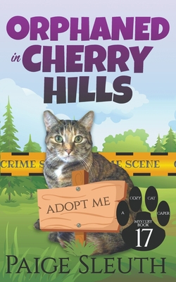 Orphaned in Cherry Hills B0BT9MJTYG Book Cover