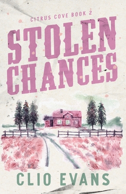 Stolen Chances: A Single Mom, MMF, Small Town R... B0DSTTWB9S Book Cover