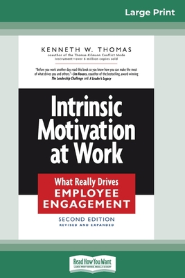 Intrinsic Motivation at Work (16pt Large Print ... [Large Print] B00FQ4QUJA Book Cover