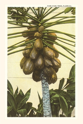 Vintage Journal Papaya Tree, Florida 1669519686 Book Cover