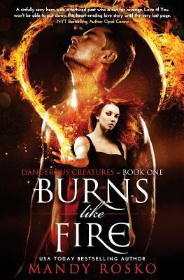 Burns Like Fire 1505574501 Book Cover