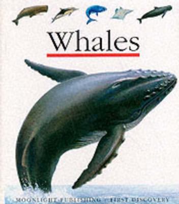 Whales 185103157X Book Cover