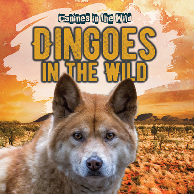 Dingoes in the Wild 1538279614 Book Cover