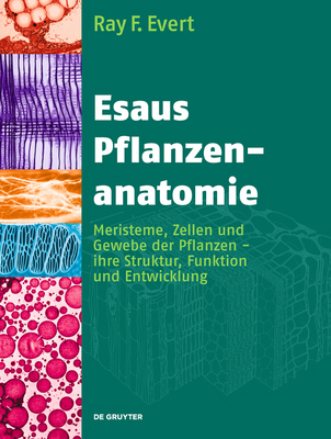 Esaus Pflanzenanatomie [German] 3110205920 Book Cover