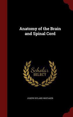 Anatomy of the Brain and Spinal Cord 1298697425 Book Cover