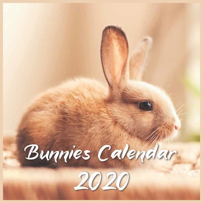 Bunnies Calendar 2020: 12 Month Calendar B083XX5JJF Book Cover
