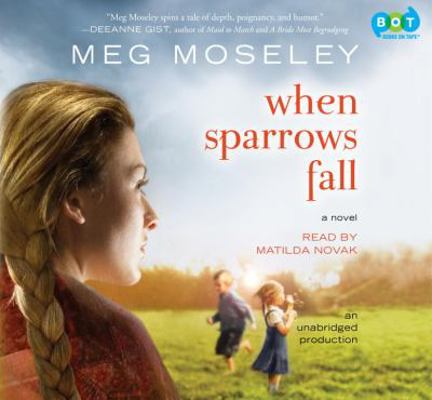 When Sparrows Fall 0307932796 Book Cover