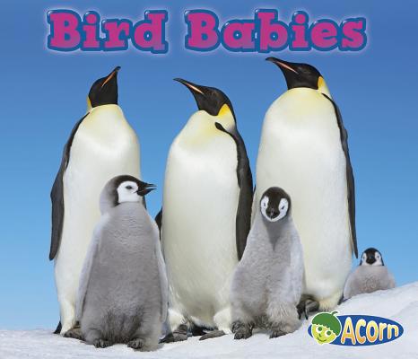 Bird Babies 1432974920 Book Cover