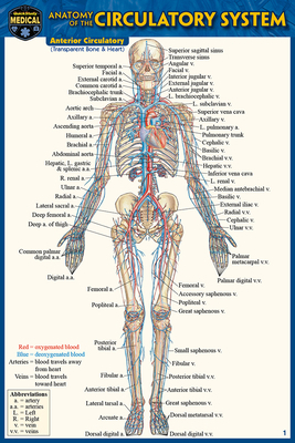 Anatomy of the Circulatory System (Pocket-Sized... 1423242688 Book Cover