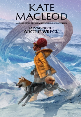 Salvaging the Arctic Wreck 1965167357 Book Cover