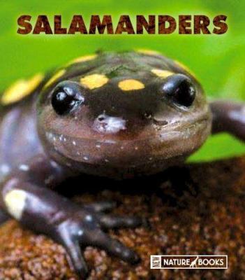 Salamanders 1592966489 Book Cover