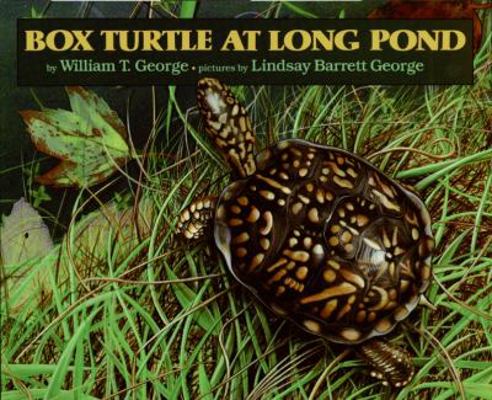 Box Turtle at Long Pond 0688081843 Book Cover