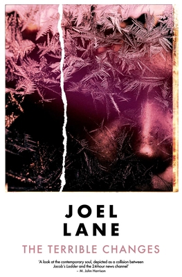 The Terrible Changes 191439111X Book Cover