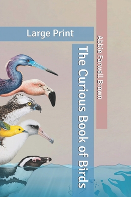 The Curious Book of Birds: Large Print B086G2LHQK Book Cover