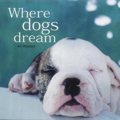 Where Dogs Dream 1840724331 Book Cover