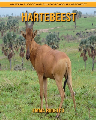 Hartebeest : Amazing Photos and Fun Facts about Hartebeest
