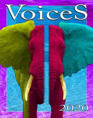 Voices 2020 : Dreams, Desires and Delusions