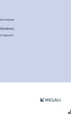 Wanderers: in large print 3387310811 Book Cover