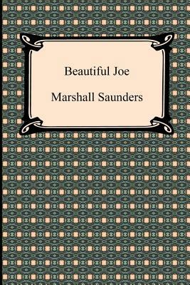 Beautiful Joe 1420944584 Book Cover