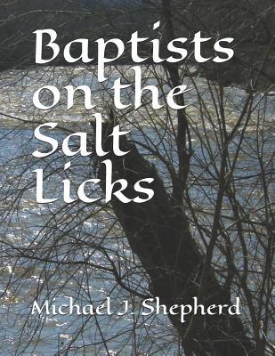 Baptists on the Salt Licks 1091364877 Book Cover