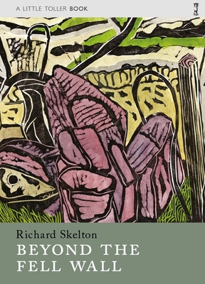 Beyond the Fell Wall 1908213582 Book Cover