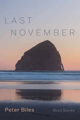 Last November: Short Stories B0F6B4Z7ZK Book Cover