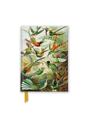 Ernst Haeckel: Hummingbirds (Foiled Pocket Jour... 1835625800 Book Cover