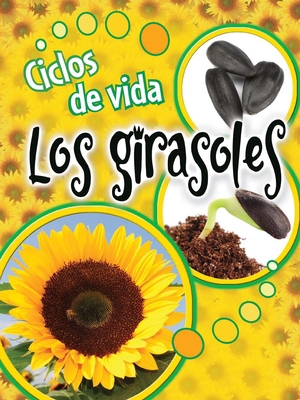 Ciclos de Vida Los Girasoles: Life Cycles: Sunf... [Spanish] 1627172750 Book Cover