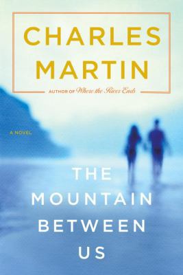 The Mountain Between Us 0767927001 Book Cover
