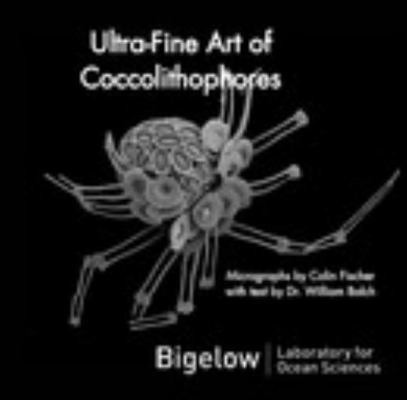 Ultra-Fine Art of Coccolithophores