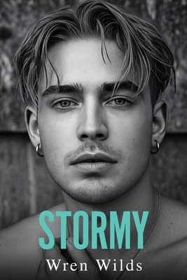 Stormy: An MM Romance B0H29WJH29 Book Cover