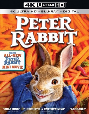 Peter Rabbit            Book Cover