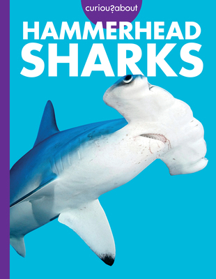 Curious about Hammerhead Sharks B0FG9748BQ Book Cover